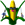 Maiz