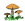 Seta