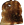 Tostada