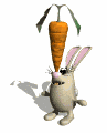 conejo con zanahoria