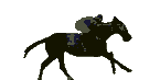 Caballo de Carreras