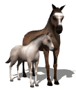 Caballos
