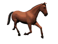 Caballo