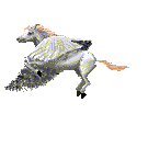 Unicornio