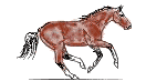 Caballo
