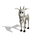 Cabra