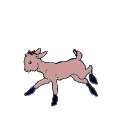 Cabra