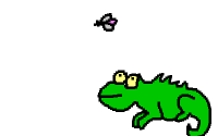 Camaleon