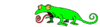Camaleon