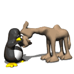 Camello con Pinguino
