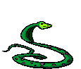 Cobra Venenosa