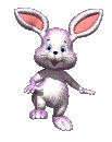 Conejo
