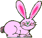 Conejo Rosa