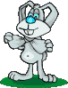 Conejo