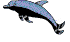 gif delfin