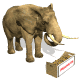 Elefante