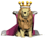El Rey Leon
