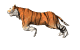 Felino