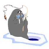 Foca en el Hielo Pescando