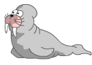 Foca