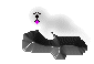 Foca