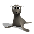Foca
