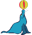 Foca del Circo