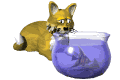 Gato con Pecera