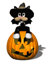 Gato de Halloween