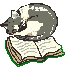 Gato Dormido