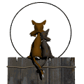Gatos