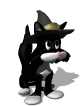Gato Negro