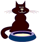 Gato