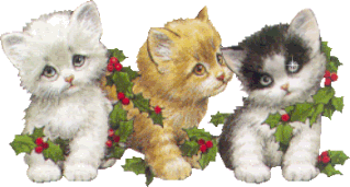 Resultado de imagen para gifs animados de gatitos