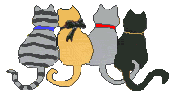 Gatos