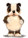 Hamster