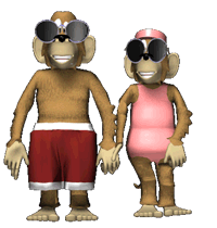 Pareja de Monos