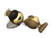 Oso Durmiendo