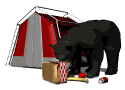 Oso