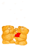 Osos Amor