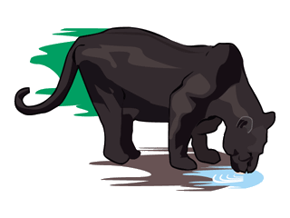 Pantera Negra