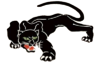 Pantera Negra
