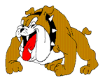 Perro