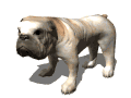 Perro Animado