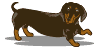 Perro Salchicha