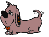 Perro