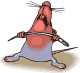 Rata