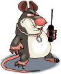 Rata