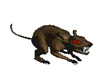 Rata