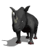 Rinoceronte Animado